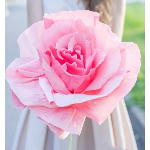 Гигантский бумажный цветок «Розовая роза»