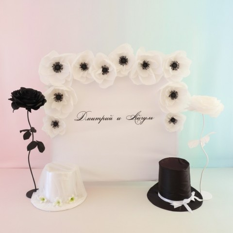 Фотозона "Анемония"