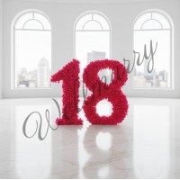 Объемная цифра (любой размер и цвет)