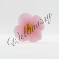 Цветок из фоамирана "Тропики" розовый Цветок из фоамирана "Тропики" розовый