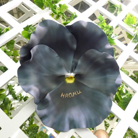 Цветок  из фоамирана "Виола Наоми"