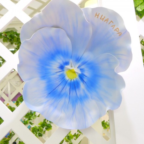 Цветок  из фоамирана "Виола Ниагара"